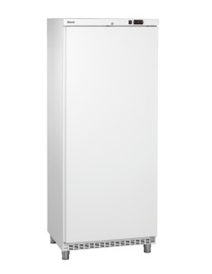 Frigorífico 600 WSTL