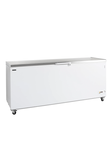 Arcones congeladores CF700 SL