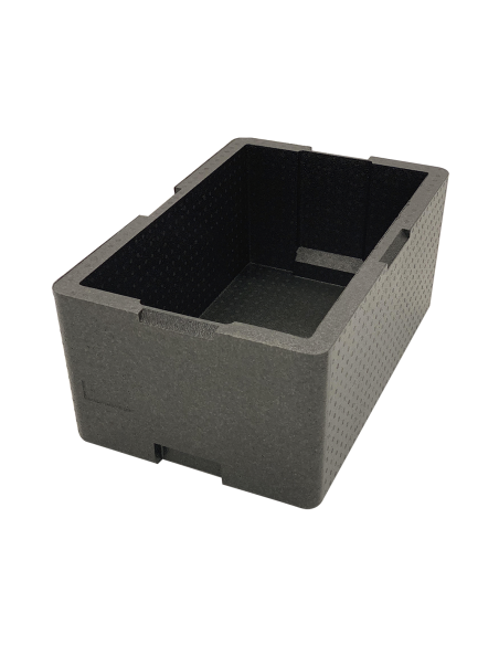 Contenedor Gastronorm con aislamiento térmico GN1/1-220 de Fricosmos