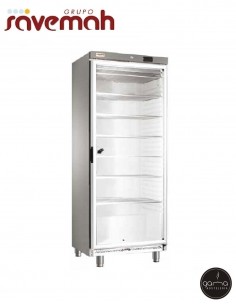 Expositor congelador GN2/1 de 466 L - AGNC-600I CR de...